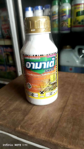 จีมูเร่ อามาเต้ 500 ซีซี ขจัดโรคพืชมากมาย ตัวเดียวกับอามูเร่ (โพรพิโคนาโซล+ไดฟีโนโคนาโซล)