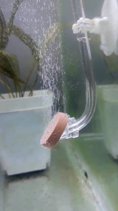 Super Mini Diffuser Co2 Aquascape