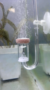 Diffuser Co2 Diy Aquascape