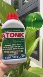ATONIC 500ML KÍCH THÍCH RỄ MẠNH MUA 1 TẶNG 1 A-V-TONIC VIÊN SỦI