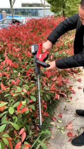 0 เครื่องตัดกิ่งไม้ ตัดแต่งพุ่ม แต่งกิ่งไม้ เครื่องตัดหญ้าไฟฟ้า เลื่อยตัดแต่งพูด ตัดแต่งพูดหญ้า