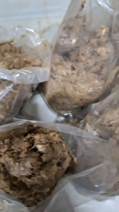 ปลาร้าบด เนื้อปลาร้าบด เนื้อปลาร้าสับ ปลาร้ากระดี่ แจ่วบอง แซ่บ นัวร์ ไม่เหม็นคาว สด สะอาด 1 kg