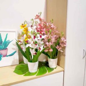 🔥Ready Stock🔥Cymbidium Orkid Siap Gubah Sekali Daun/Artificial Orchid Flower/Bunga Orkid Latex/Bunga Hiasan/Orchid Flowe