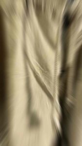 Celana Cargo Pendek Polos Pinggang Karet & Celana Import Ba Wang Cheng