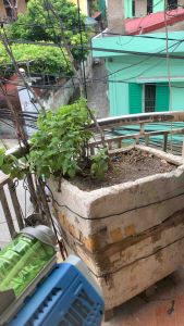 Súng phun nước điện tử tự động máy phun nước Mercury dành cho trẻ em hoạt động mùa hè