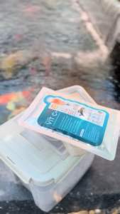 เซตคู่ จุลินทรีย์น้ำใส+วิตซีบำรุงสุขภาพปลาช่วยเสริมภูมิคุ้มกันกระตุ้นการสร้างคอลลาเจน