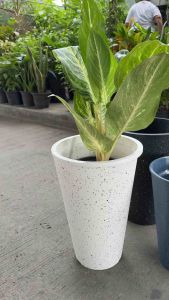 ‼️ถูก ส่งเร็วทันใจ‼️ กระถางทรงกรวยสูง 2 ชั้น ลายหินอ่อน ขนาด 10-12 นิ้ว