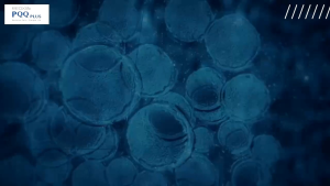 🔥 READY STOCK🔥 RETURN LEGACY PQQPLUS一粒见效(一盒60粒)