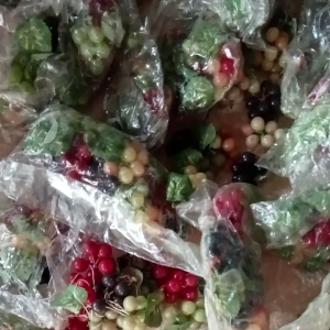 Bua angur artificial premum