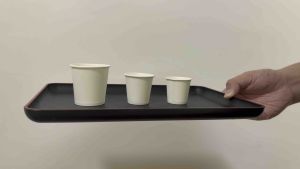 Plain white paper cup/Sampling cup 1.5oz/2.5oz/4oz