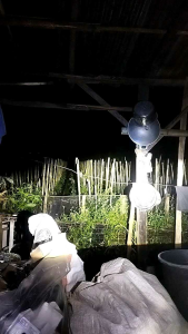 BILED AES TURBO LASER 25 INC SE GEN 3