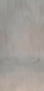 Tripod Support Mini: Tripod Ringan & Tahan Lama