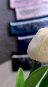 Hijab segi empat frinting sumblime motif Kirana/jilbab lasercut Kerudung Wanita Katun Square Voal Muslim Printing Lembut Nyaman