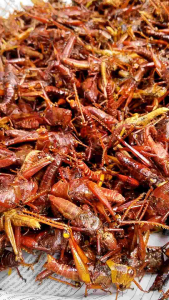 BELALANG GORENG KAYU SUPER/WALANG GORENG KAYU BERAT 165GRAM