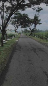 Orphe TX-620 senar gitar akustik 010 bronze Orphe original