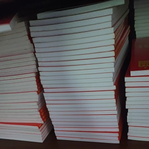 4in1 Diary Books Series (IPON DIARY/PULUBI/BADYET/UTANG-FREE DIARY) BY CHINKEE TAN