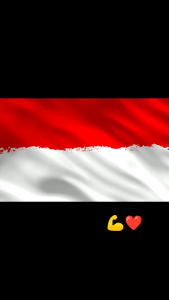 Kaos Polo & T-Shirt Kemerdekaan Indonesia 78