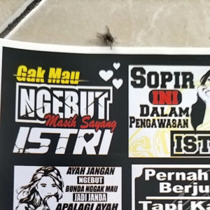 Stiker Kata Kata | Stiker 1 Lembar | Stiker Pack