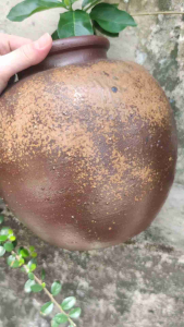 Bình bizen mặt trời goma và bình mộc