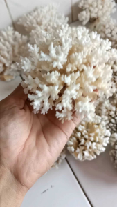 Terumbu Karang Hias Aquarium / 1 pcs