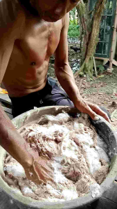 selai umpan kucur ikan baung 1kg/toples