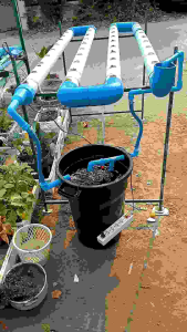 ชุดปลูกผักไฮโดรโปนิกส์ 40 หลุม