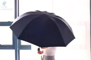 Dù Che Mưa Ngăn Nắng Ngăn Tia UV