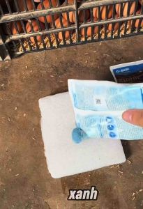 Thuốc diệt chuột sinh học Storm (Gói 1kg)