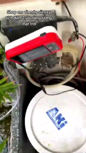 Máy sủi oxy tích điện - Năng lượng mặt trời BAOYU BY-A3 | Siêu tiện lợi siêu êm