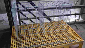 battery cages 2doors for all kinds of chicken