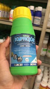 Kuproxat 345sc 200ml Fungisida Tembaga Oksi Oulfa Bakterisida Pelindung Daroi jamur