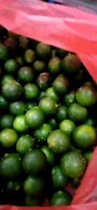 Jeruk kasturi /sonkit/lemon cui segar berat 1 kg. Pengiriman dari Medan