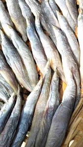 Khô Cá Chạch Đồng loại nhất size vừa Đặc Sản KHOMITA 500g 4nắng khô sạch thấy là thèm. Đóng hút chân không đi được nước Ngoài