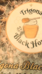 trigona black honey (madu kelulut khas Kalimantan)