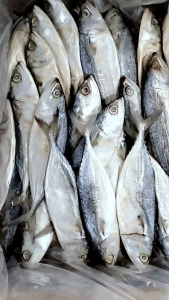 Ikan Asin Peda Putih/Kembung Banjar Super 500 gram & 1000 gram