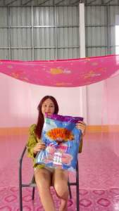 มุ้ง มุ้งกันยุง4ฟุต มุ้งผูกหู หลังคาพิมพ์ลาย มุ้งหลังคาลาย มุ้งตราพัชรี มุ้งนอนคนเดียว