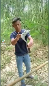 Sabit Arit Baja Per Tempa: Alat Pemangkasan Rumput Berkualitas dan Tahan Lama