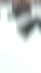 once pipa cangklong kayu kelor hitam B2