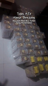 Permen Dalgona Candy Squid Game viral ukuran 6cm 1 bok isi 10pcs