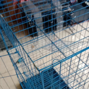 kandang kucing tingkat 3 .40x60x90