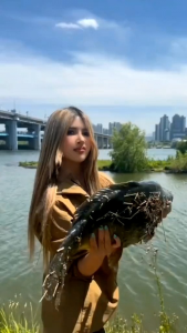 Essen Ikan Mas PERTAMAX TURBO: Makanan Ikan Berkualitas dan Suplemen Ikan Target Indukan