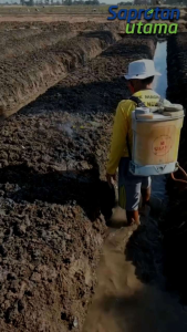 Goal 240 EC Pembasmi Rumput Gulma 100 ML - Herbisida Pra Tumbuh Kontak dengan Bahan Aktif Oksifluoren - Digunakan untuk Pertanaman Bawang Merah, Kakao, Kapas, Karet, Kedelai, Kelapa Sawit, Padi Gogo, Padi Sawah, Tebu, Teh, Albasia, Ubi Kayu (CORTEVA)