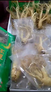 Gingseng Merah Asli Original: Suplemen Kesehatan Alami