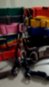 kalung kambing anjing collar dog