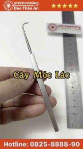 Cây Móc Lác Lé Mắt 14cm