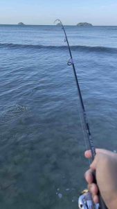 เหยื่อ ยาง อาจิ aji หนอนยาง อะจิ Ajiing 40 mm สำหรับงาน ajiing ตกปลาทู ตกปลาทะเล เหยื่อตกปลา เหยื่อปลอม เหยื่อตกปลายาง อุปกรณ์ตกปลา JOJO Thailand