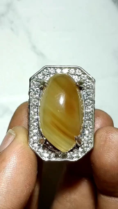 Asli Batu Sulaiman Ginggang 28cm Ring.8