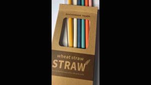 Save Our Planet PH♥️ Reusable Detachable Colorful 6-Piece Wheat Straw Set with Cleaner