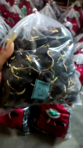 benih bibit kecambah polong sawit PPKS varietas DXP 239 isi 250 butir benih TERLARIS