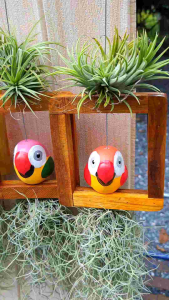 เคราฤาษีแต่ง นกแก้ว ((ขนาด3นิ้ว))ใส่กรอบไม้ขนาด 5.5*6นิ้ว